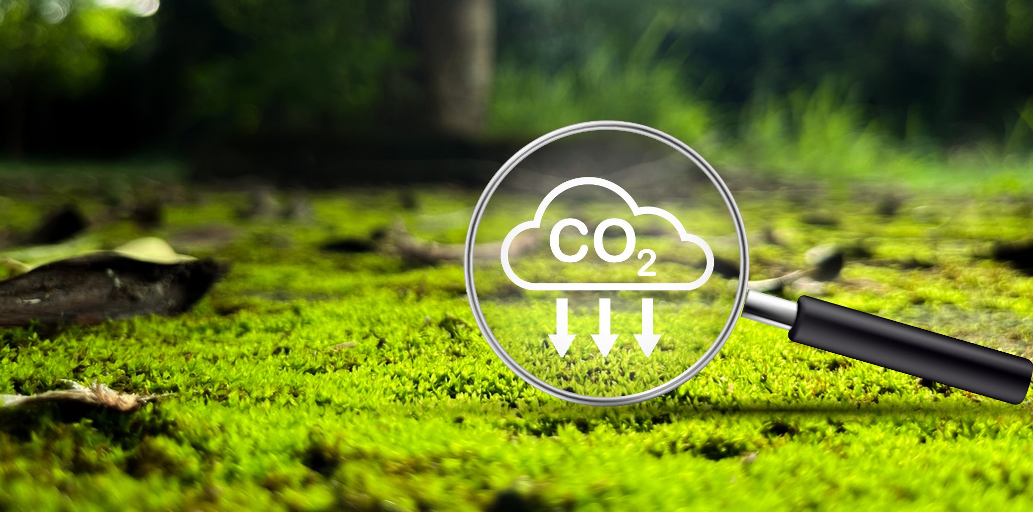 ÇED Danışmanlığında 25 Yıllık Tecrübe